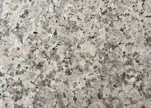 Bianco Sardo Granite G602