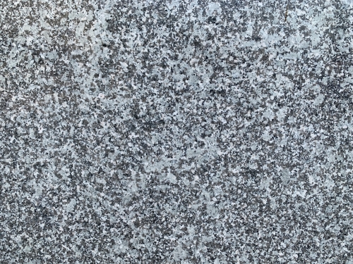 China Cheap Price Paradiso Flower Granite